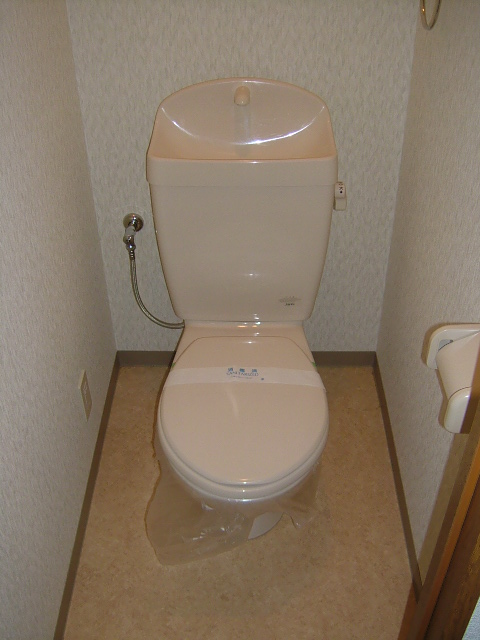 Toilet. Toilet