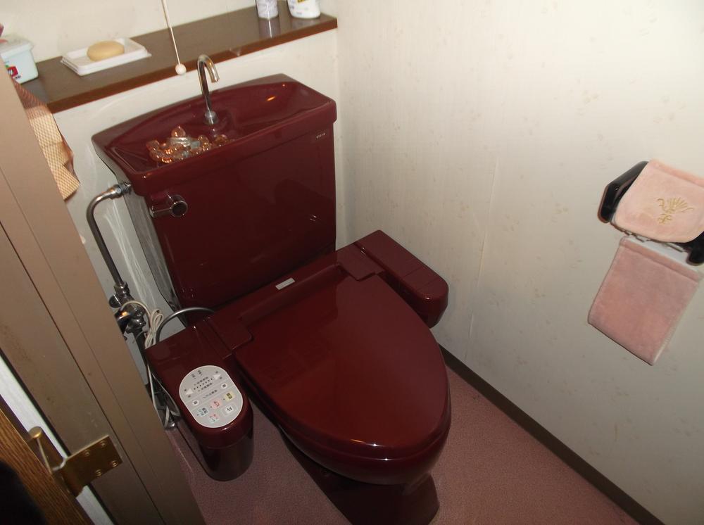 Toilet. Washlet toilet