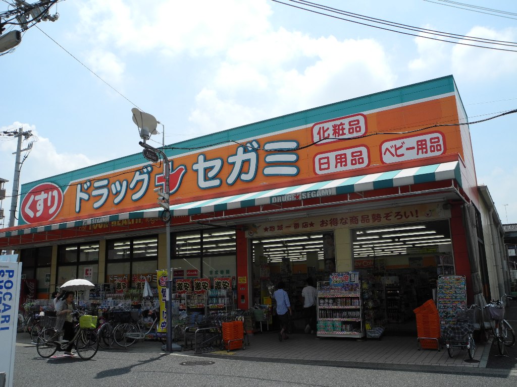 Dorakkusutoa. Drag Segami Amami shop 1536m until (drugstore)