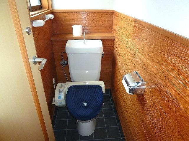 Toilet. Indoor (June 2012) shooting