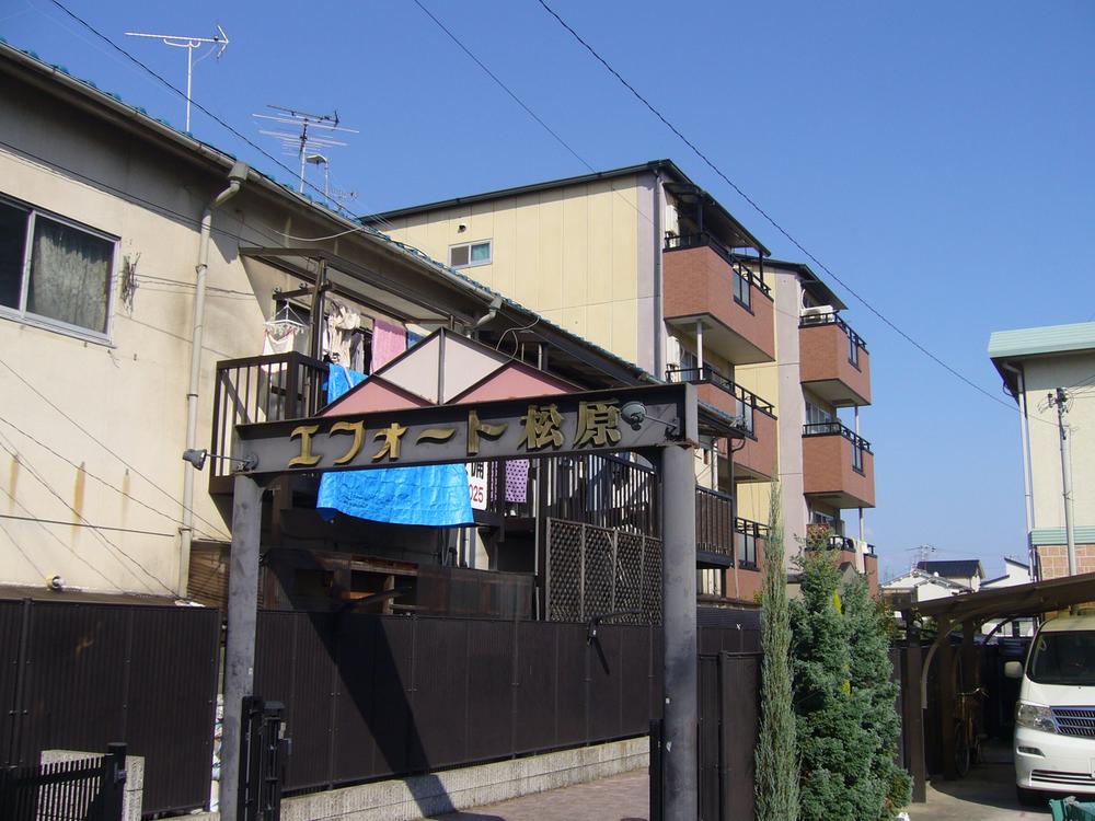 Local appearance photo. Local (10 May 2013) Shooting