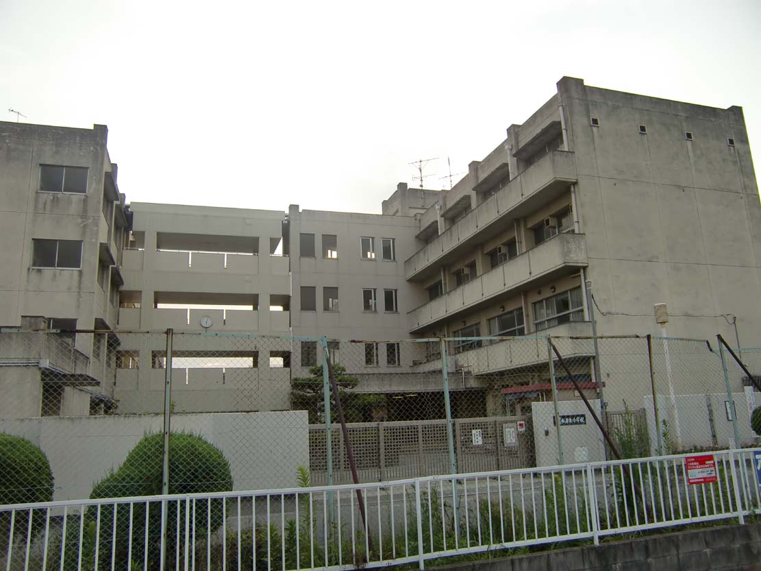 Primary school. Matsubara Municipal Matsubarahigashi to elementary school (elementary school) 233m
