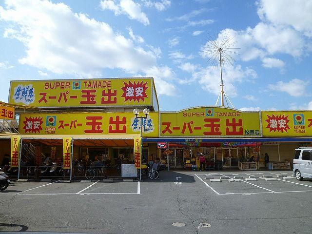 Other. There is Tamade in the middle point of the Matsubara Station