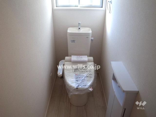 Toilet. Local (11 May 2013) Shooting