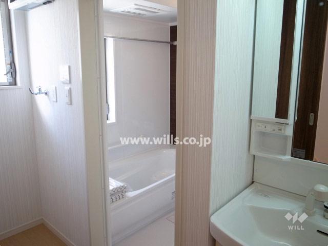 Wash basin, toilet. Local (11 May 2013) Shooting