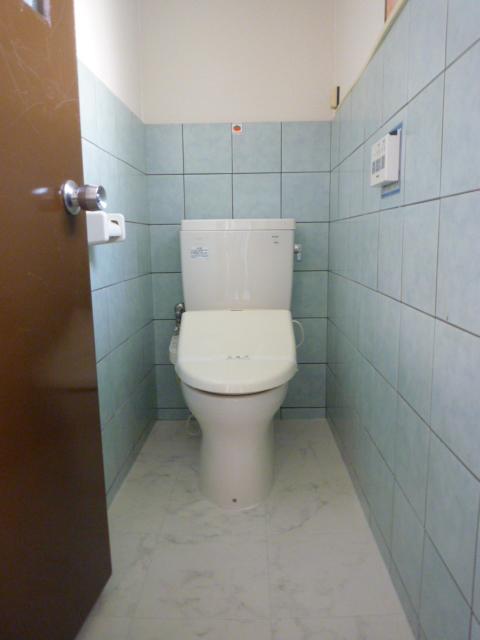 Toilet. Local (11 May 2013) Shooting