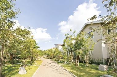 Streets around. Green Road city block to 150m Minoo Green road in the forest town streets of city blocks (promenade of 10 meters wide provided with a green belt) of Mino forest-cho. Since the vehicle does not pass, Peace of mind even if small children playing in the front of the house. It has also become a place for local community.