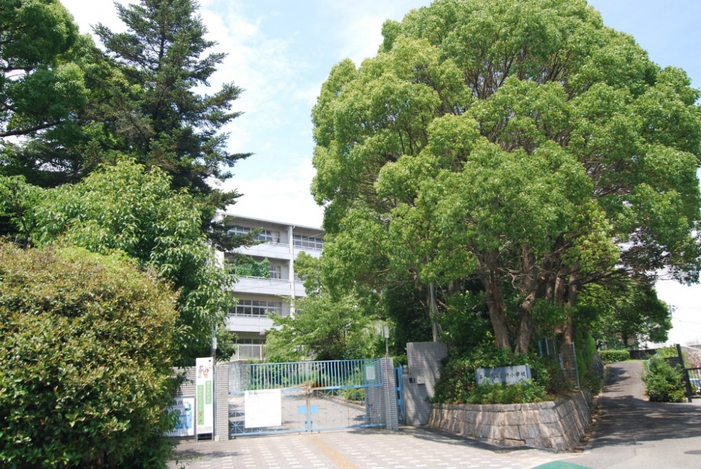 Primary school. Kayano to elementary school (elementary school) 309m