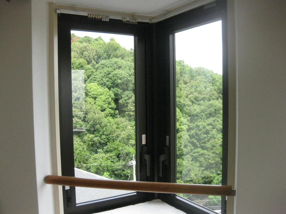 View photos from the dwelling unit. Views of the green of the forest from the window