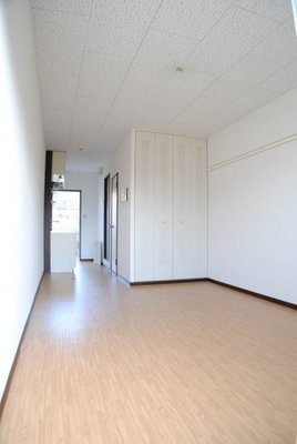 Living and room. Bright rooms facing south. 
