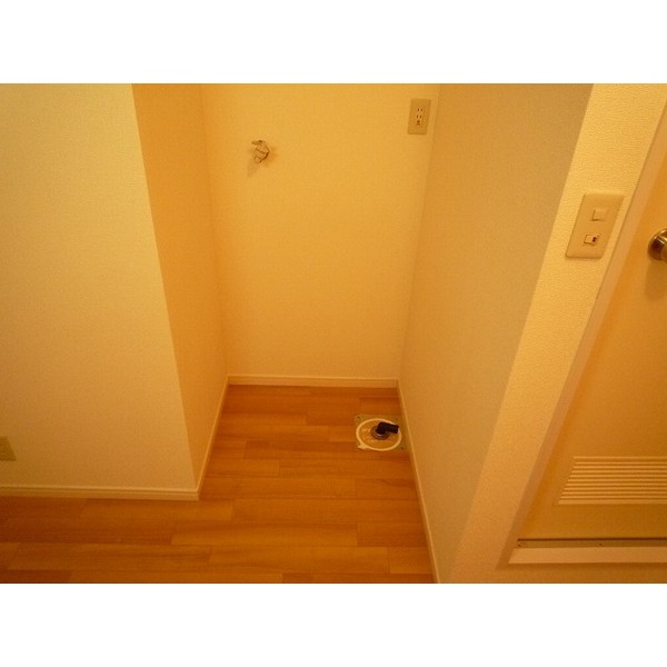 Other room space. Indoor Laundry Storage