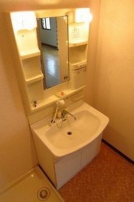 Washroom. Washbasin with a shampoo dresser