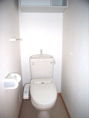 Toilet. With storage of cleaning heating toilet seat