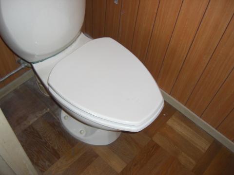 Toilet. WC