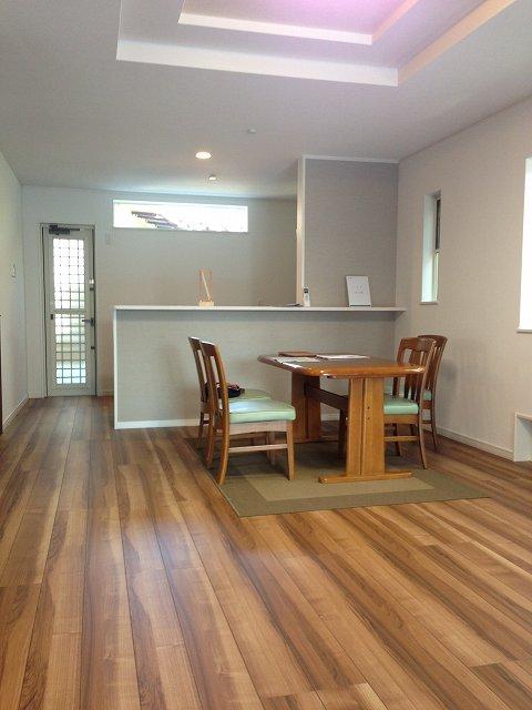 Living. Indoor (07 May 2013) Shooting