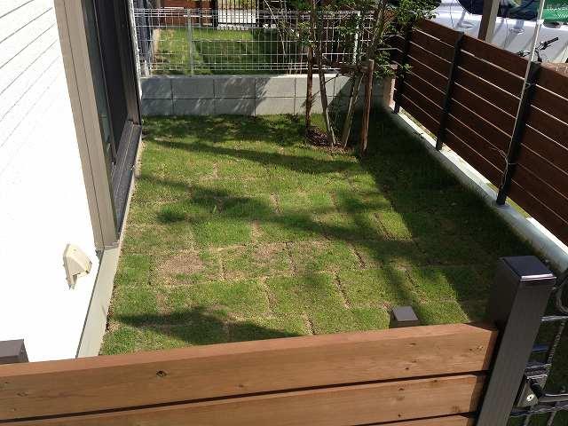 Garden. Local (07 May 2013) Shooting