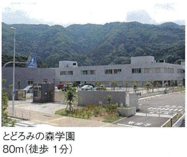 Junior high school. Mino Tatsutome people Ryobi until junior high school 80m