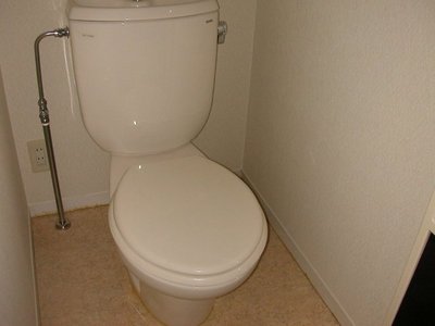 Toilet. Simple toilet. 