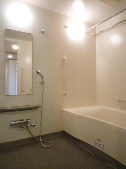 Bathroom. Indoor (11 May 2013) Shooting
