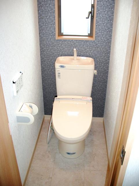 Toilet. Local (April 2012) shooting