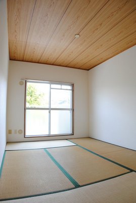 Living and room. Bright south-facing Japanese-style room