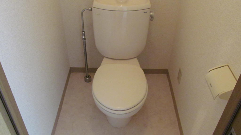 Toilet. Wide and clean toilet