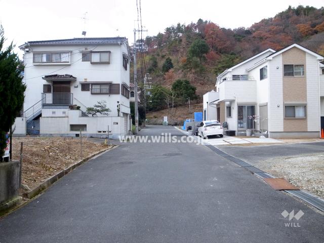 Local photos, including front road. Local (12 May 2013) Shooting