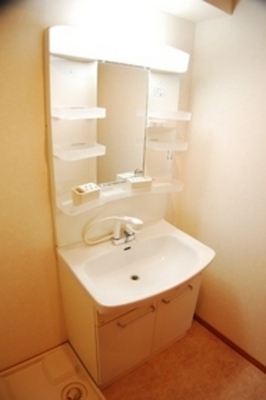 Washroom. Shampoo dresser with