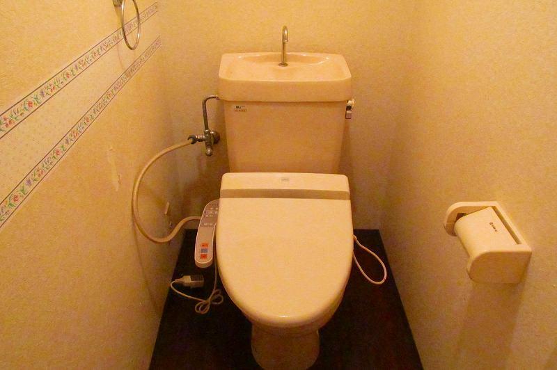 Toilet. Bidet.