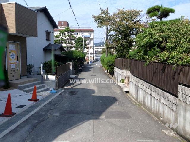 Local appearance photo. From the east