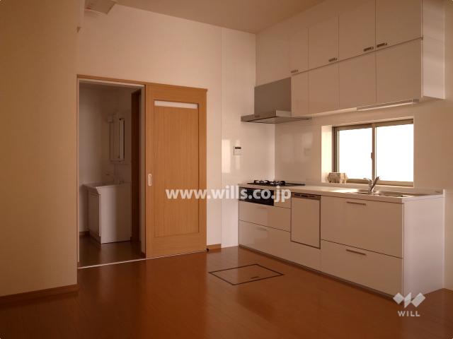 Living. Local (April 2013) Shooting