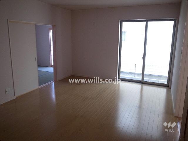 Living. Local (11 May 2013) Shooting