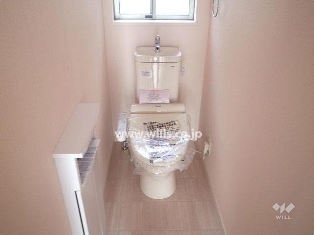 Toilet. Local (11 May 2013) Shooting