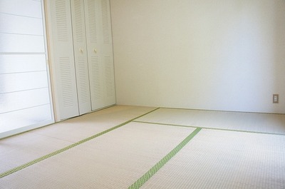 Living and room. Spacious Japanese-style room.