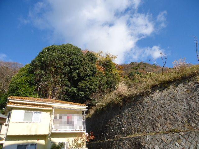 View photos from the dwelling unit