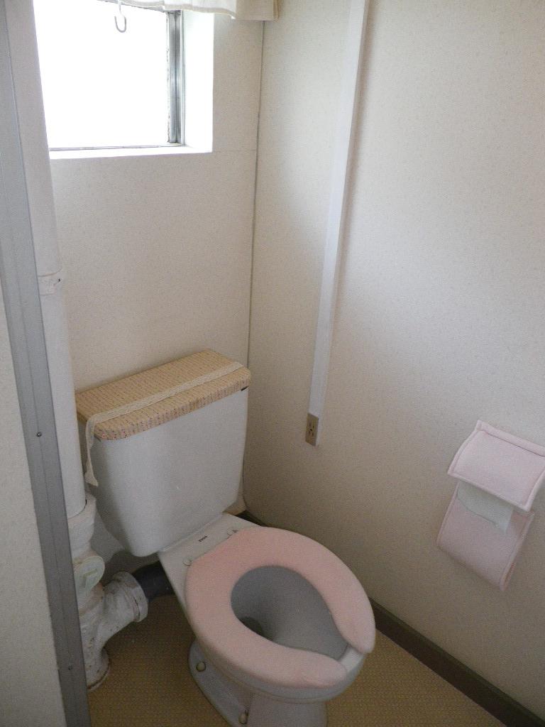 Toilet. Room (May 2012) shooting