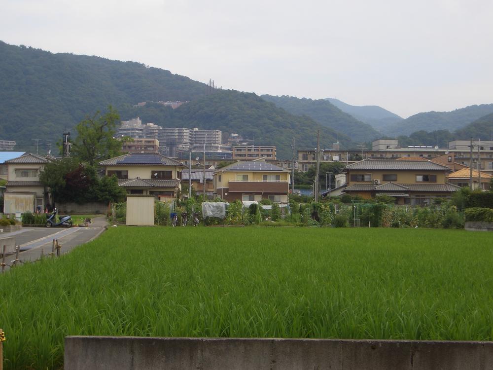 View photos from the local. Kitatonari local is a rice paddy. 