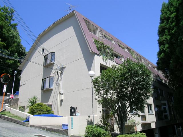 Local appearance photo. Local (11 May 2013) Shooting