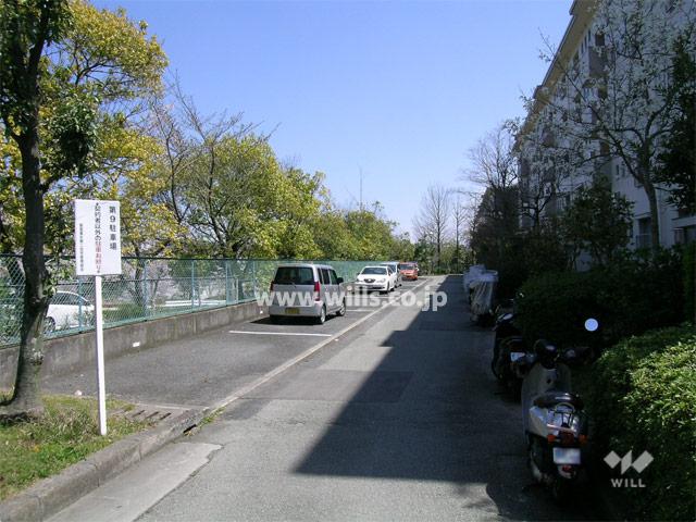 Parking lot. Common areas