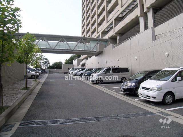 Parking lot. Common areas