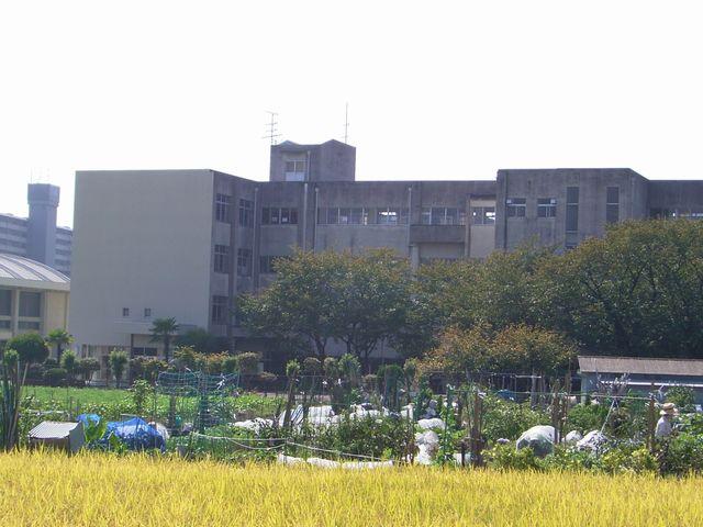 Other. Shimamoto-cho, standing third elementary school