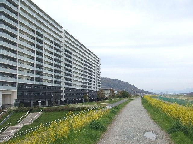 Local appearance photo. Large-scale Riverside apartment of the total number of units 556 units