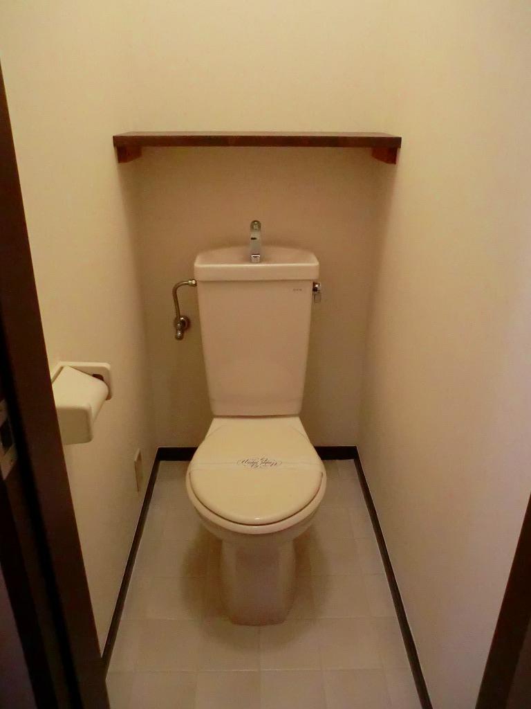 Toilet. Spacious WC