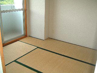 Living and room. Japanese style room