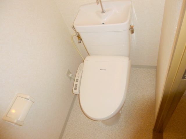 Toilet. With hot water cleaning function