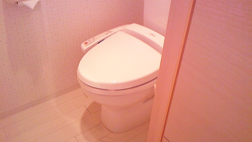 Toilet. It is a photograph of the different rooms, but are decorated situation of the same degree. 