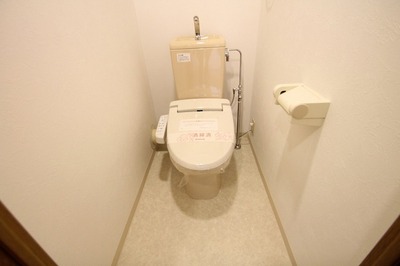 Toilet. Washlet toilet