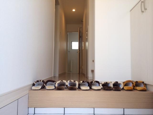 Model house photo. Entrance