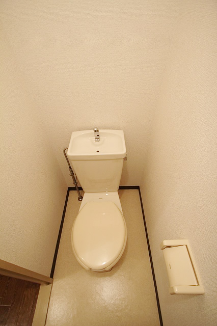 Toilet. Separate toilet