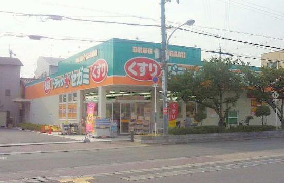 Drug store. Drag Segami Moriguchi until Fujita shop 337m